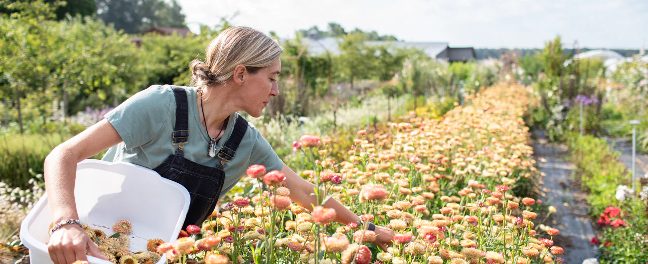 Cultivate Your Floral Vision